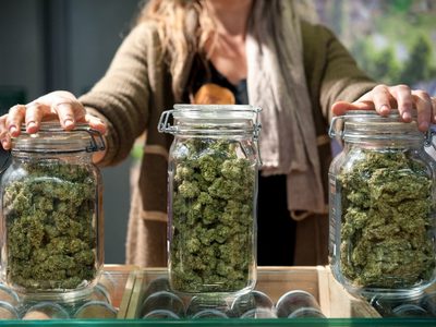 La izquierda presentó un proyecto para legalizar el uso de la marihuana