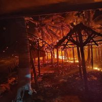 Incendio presuntamente provocado consume 250 palapas en Mahahual