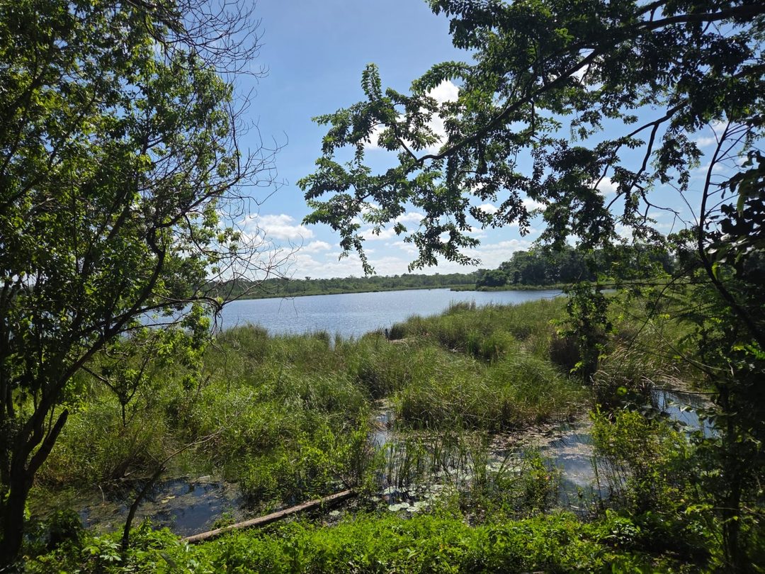 Límites de Laguna Larga con México y Guatemala.  Foto Claudia V. Arriaga Durán
