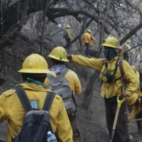 Controlado al 100% el incendio en la zona boscosa de Tepoztlán