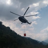 Controlado en 60% el incendio en la Reserva de la Biosfera El Triunfo: SMAHN