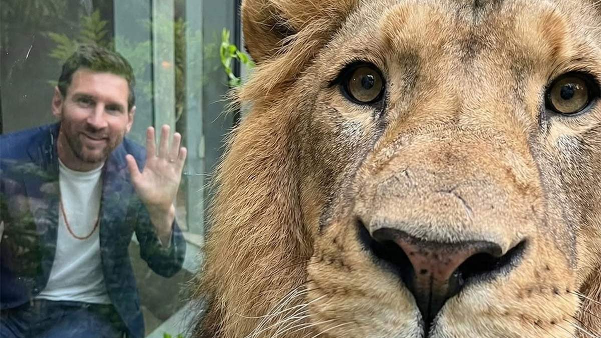 Messi con un león en el refugio de animales de la India