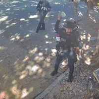 Policías de Playa del Carmen lanzan piedras a ciudadanos al ejecutar un desalojo