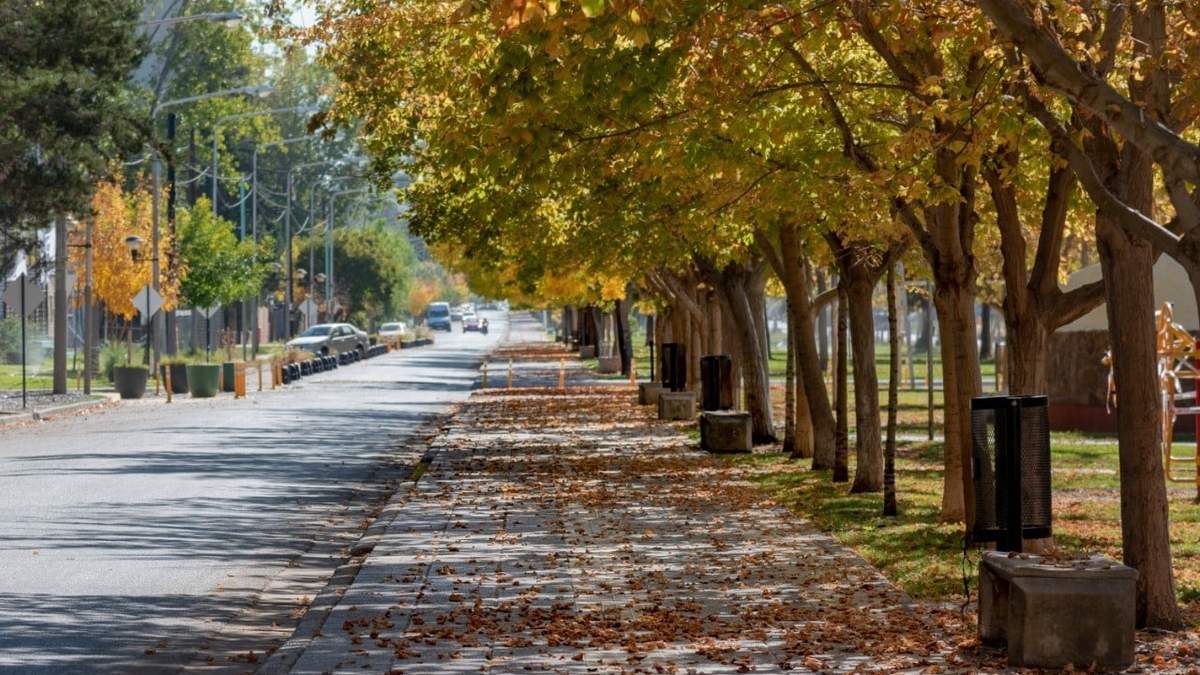 Clima en Neuquén. Fuente: (Twitter)