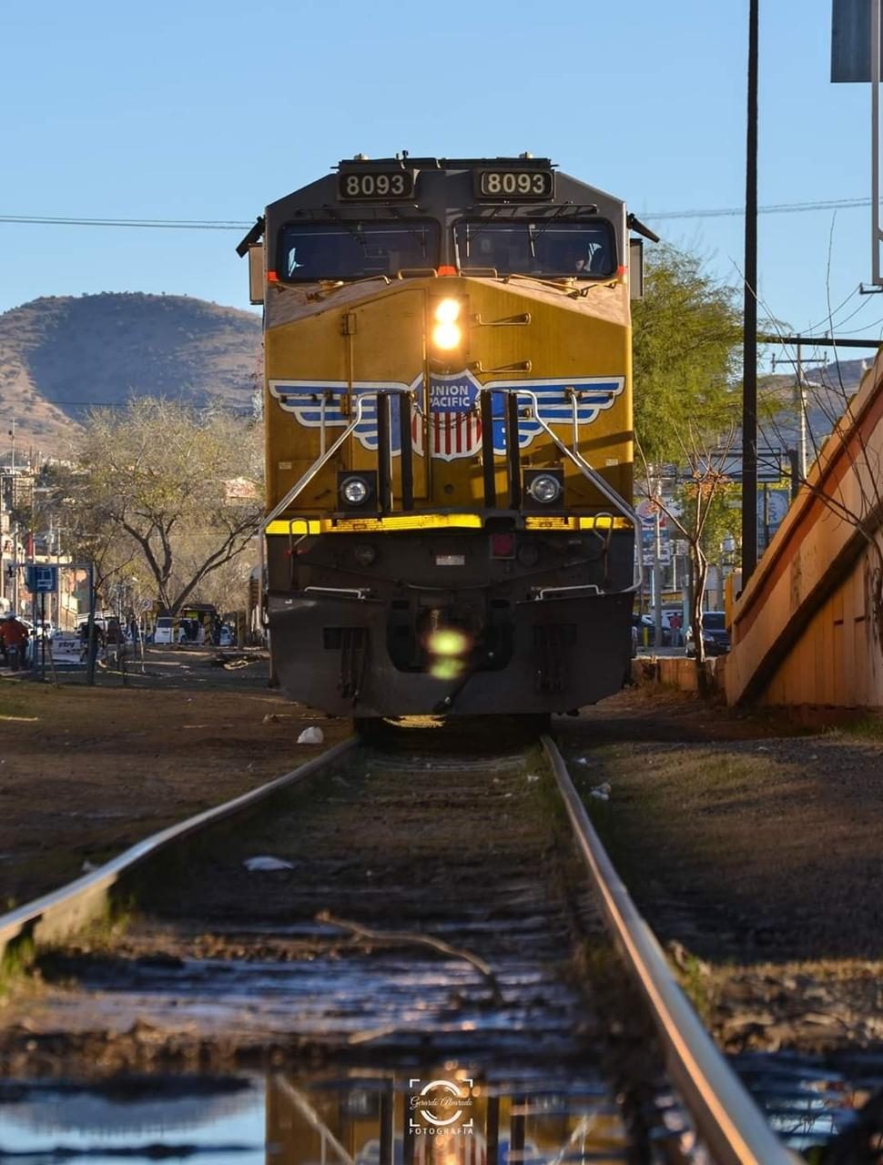 Tren Foto Especial