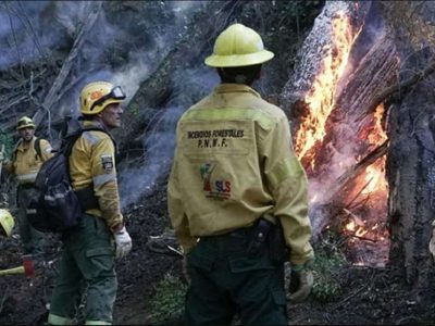 Brigadistas del Parque Nacional Lanín temen por la posible caída de los contratos laborales