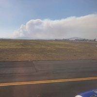 Sofocan incendio en el Bosque La Primavera, en Jalisco