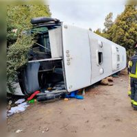 Cinco personas con heridas graves tras el vuelco de un colectivo con 47 pasajeros en la ruta de Villa Traful