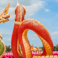 Acudí a la guía de los sabios orientales, qué dice el horóscopo chino para el viernes 12 de mayo