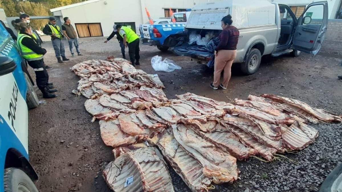 Cerca de 1000 kilogramos de carne fueron decomisados.