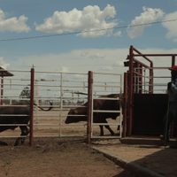 Reportan primer caso de gusano barrenador en Zacatecas