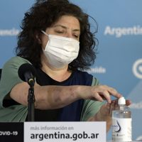 Coronavirus en Argentina: reportan que "hay una estabilización y una curva en descenso"