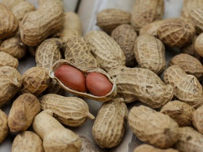 No tires las cáscaras de maní: mirá lo útiles que son para crear el florero más glamuroso