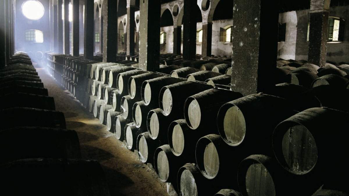Buscan levantar el ánimo de bodegas españolas. Fuente: (Facebook)