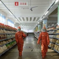 ONU alerta de impacto "devastador" sobre los derechos humanos a raíz del covid-19 en Corea del Norte