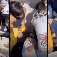 Captan pelea en gradas del Olímpico Universitario; Liga MX confirma detención de agresores (Videos)