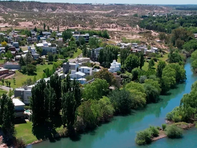 Costa del río en Neuquén: la guía de lugares habilitados para disfrutar con mascotas este verano