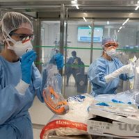 Científicos alertan por daños permanentes producidos por el coronavirus