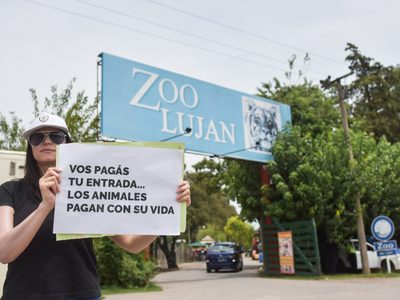 Por "desafiantes", el Gobierno mandó a cerrar el zoológico de Luján