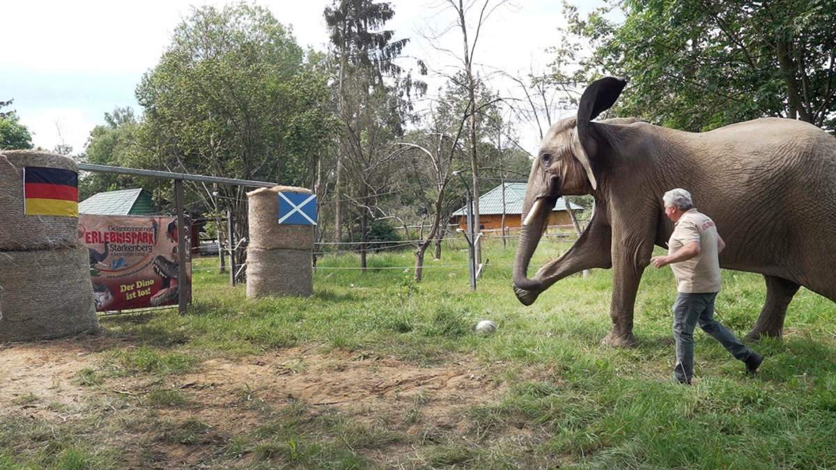 El elefante Bubi patea un balón hacia una portería con las banderas de Alemania y Escocia antes del duelo inicial de la Euro 2024 el jueves 13 de junio del 2024