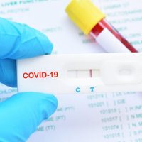 Zapala superó los 200 casos positivos de coronavirus