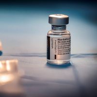 Un nuevo cargamento de Pfizer llega hoy y Argentina superará los 63,4 millones de vacunas