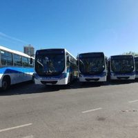 Paro de transporte: no habrá colectivos en Neuquén