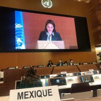 México condena en la ONU asesinatos, hostigamiento e intimidación contra periodistas