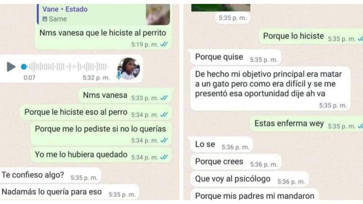 Los mensajes de Vanesa