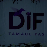 Primer Informe de Actividades "la paz es el camino y tú eres el reflejo"