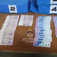 Dos delincuentes fueron detenidos luego de robar un comercio