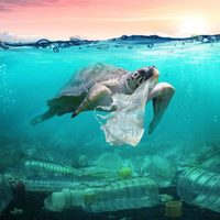El turismo es uno de los principales contaminantes de los mares
