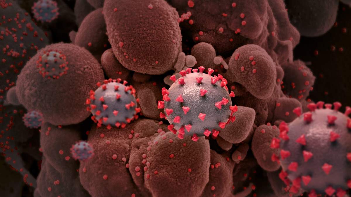 Ilustración del coronavirus