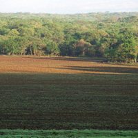 Peña y Calderón otorgaron mil 609 concesiones a mineras en Áreas Naturales Protegidas