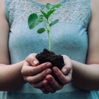 Octubre 2025: hacia un movimiento climático en México