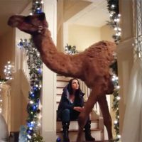 'La Navidad de las madres rebeldes”: Basura y sentimentalismo de fin de año