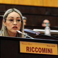 La diputada Riccomini propone que en quinto grado los alumnos prometan "no al bullying en la escuela"