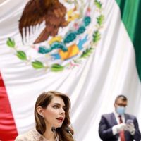 En Jalisco no se atiende la violencia contra mujeres: PRI