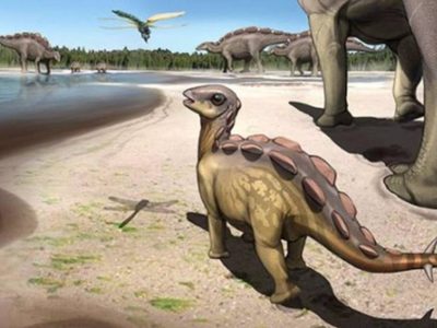 Huella de dinosaurio del tamaño de un gato descubierta en China