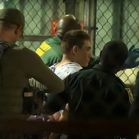Nikolas acosó a compañeros, posó en redes con pistolas y habló sobre matar animales (Video)