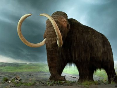 Una empresa recaudó 15 millones de dólares para que los mamuts vuelvan a caminar sobre la Tierra