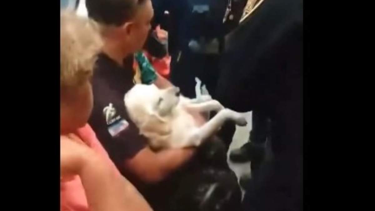 Usuario viaja con su perro en el Metro y le piden que se baje