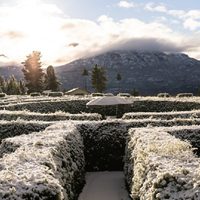 Laberinto gigante en la Patagonia: cómo llegar y cuánto cuesta esta aventura imperdible