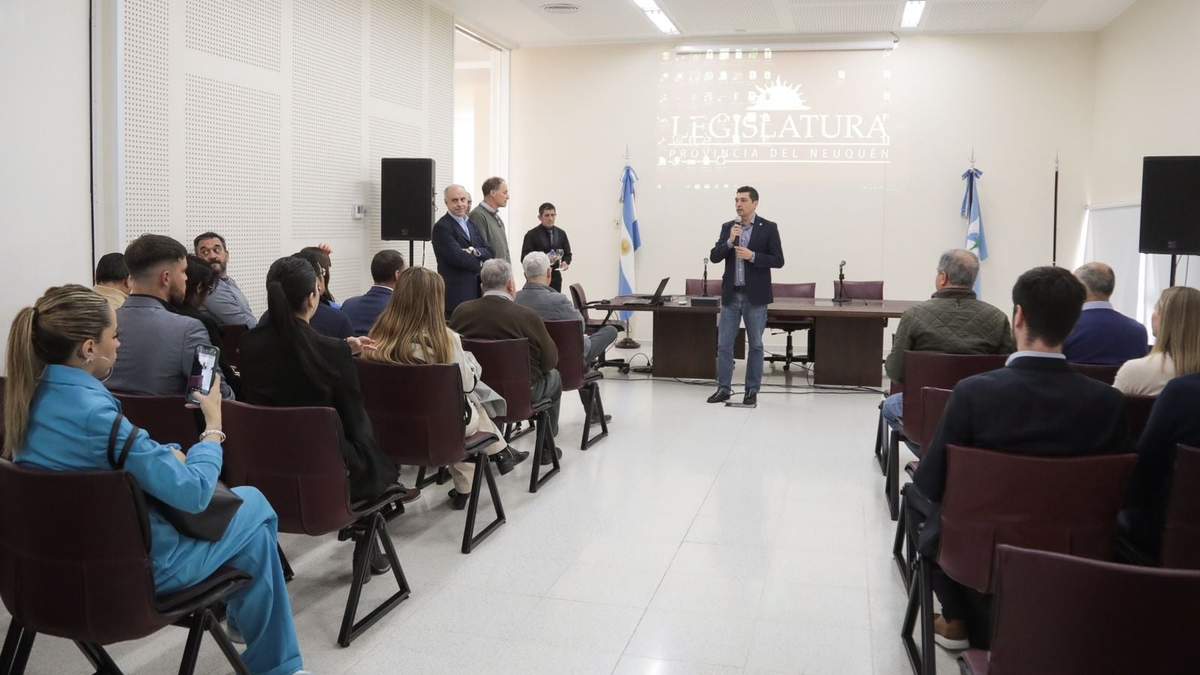 Marcos Koopmann en la jornada en la Legislatura de Neuquén. Fuente: (X).