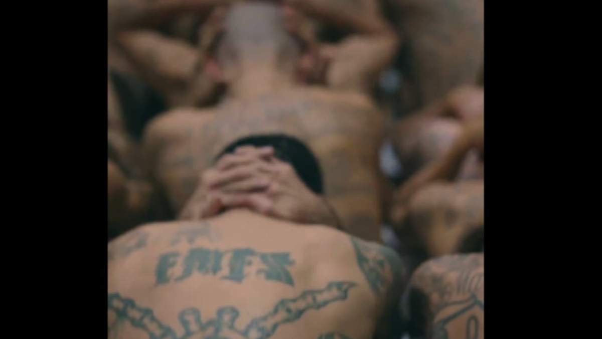 Prisioneros de El Salvador al ser trasladados de cárceles locales al Centro de Confinamiento del Terrorismo (Cecot)