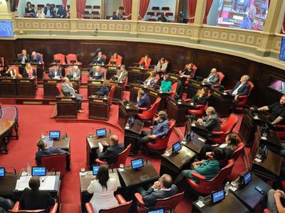 El Senado posterga el tratamiento de la Ficha Limpia y rendirá homenaje al Papa Francisco: todos los detalles