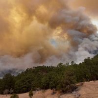 Altas temperaturas provocan 180 incendios en Nuevo León