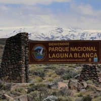 Equipos del Senasa llegaron hasta el Parque Nacional Laguna Blanca por posibles casos de gripe aviar