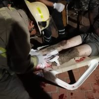 Cocodrilo ataca a turistas de Colorado en Puerto Vallarta