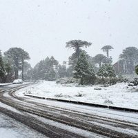 Alerta naranja por fuertes nevadas y viento blanco en la cordillera de Neuquén
